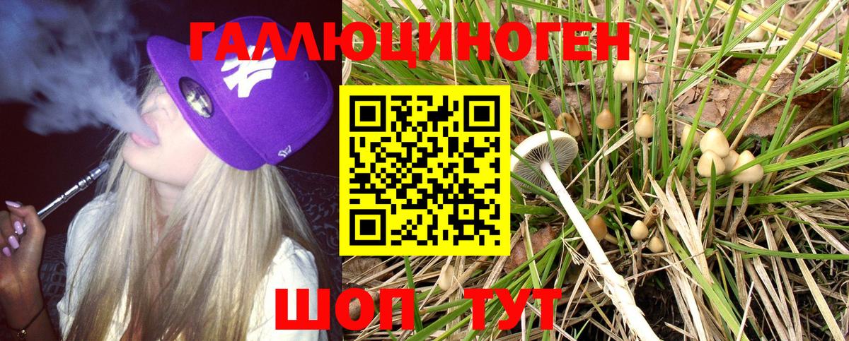 Сибай  Псилоцибиновые грибы Psilocybe  Вход с VPN 